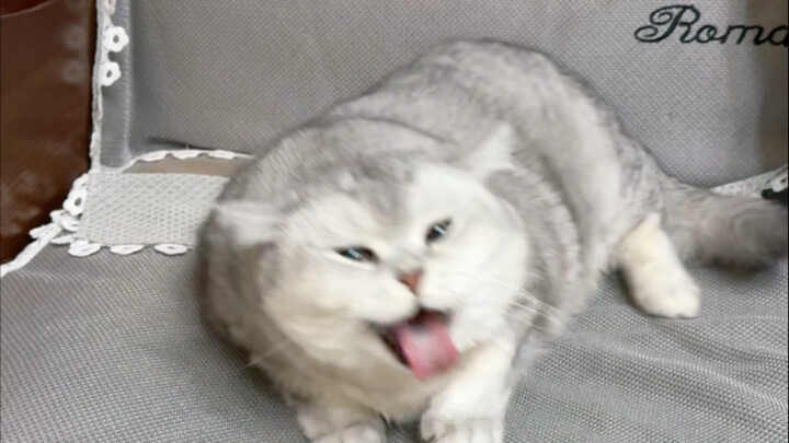 Thấy chưa, trên mạng cũng học được mấy thứ thật sự hữu ích mà! 😀