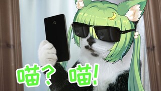 当众丢人：为了试音不同猫叫，冰冰羞耻PLAY