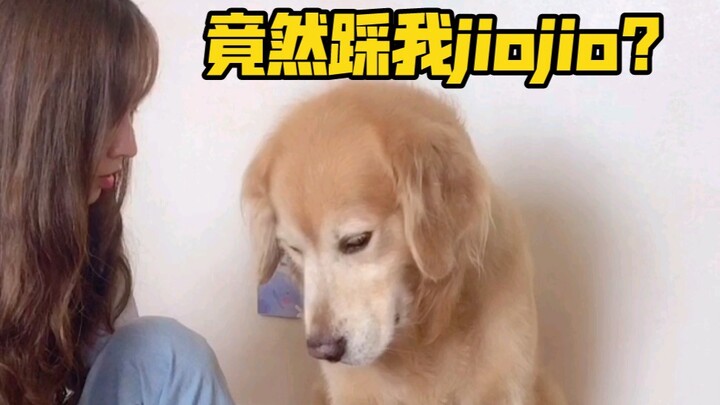 พอฉันจงใจเหยียบจิ้วจิ้วของเจ้าหมา ที่แท้มันกลับ…