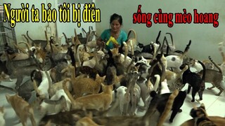 [Tập 1] Người phụ nữ 20 năm sống cùng hàng trăm con mèo hoang