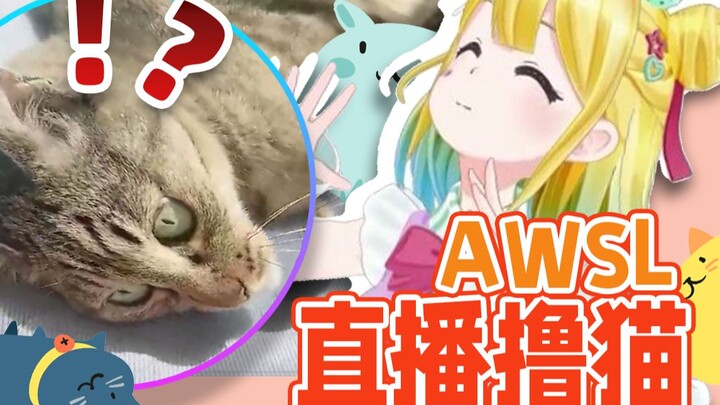 【可爱】喵~教猫猫用中文打招呼～【琴吹夢】