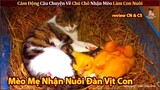 Chú Chó Bị Ung Thư Tử Cung Không Thể Mang Thai Đau Khổ Nhận Mèo Làm Con Nuôi || Review CN Và CS