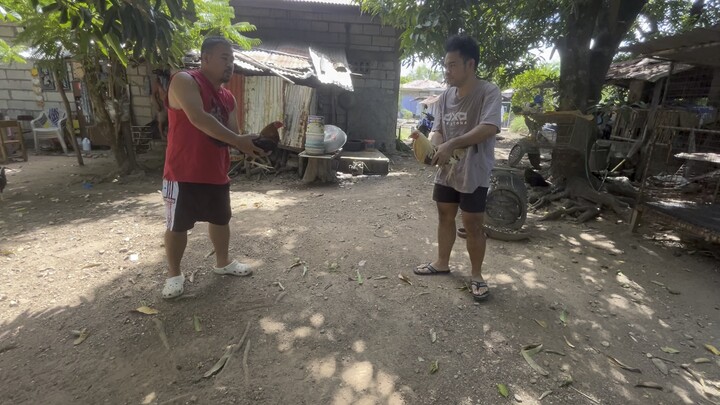 Goldenboy Flarry eye grey  vs goldenboy 5k sweater