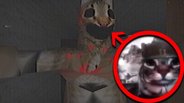 مييو.إكس إي 🐱🐱🐱