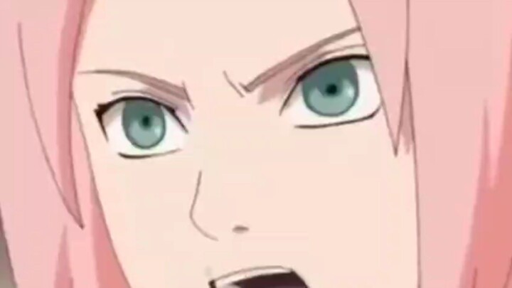 sakura namikaze