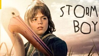 STORM BOY (2019)ππ²