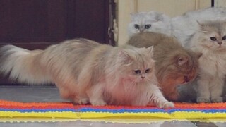 การสำรวจที่บ้าคลั่งบนขอบของอันตราย