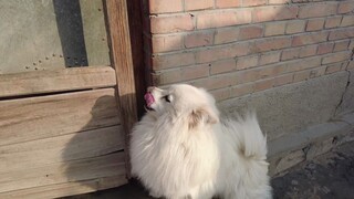 So this is why you've been so obviously hinting that you want to come inside?