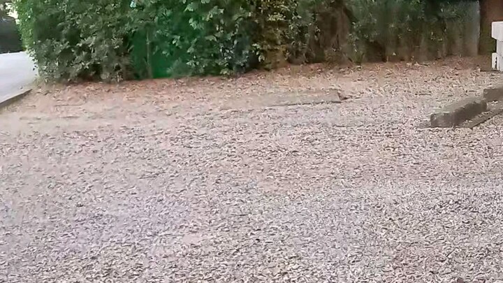 ร้านกาเเฟ