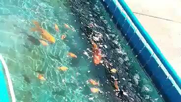 FISHING TIME ..