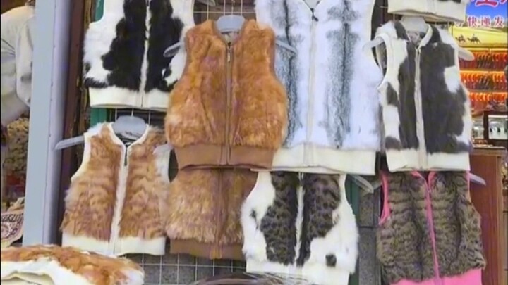 Baju kucing hanya bisa dipakai oleh kucing!