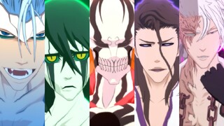 All Characters Ignition Attacks - Bleach: Soul Resurreccion (60FPS)