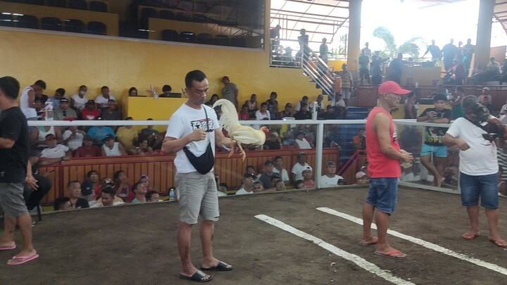 first fight panalo