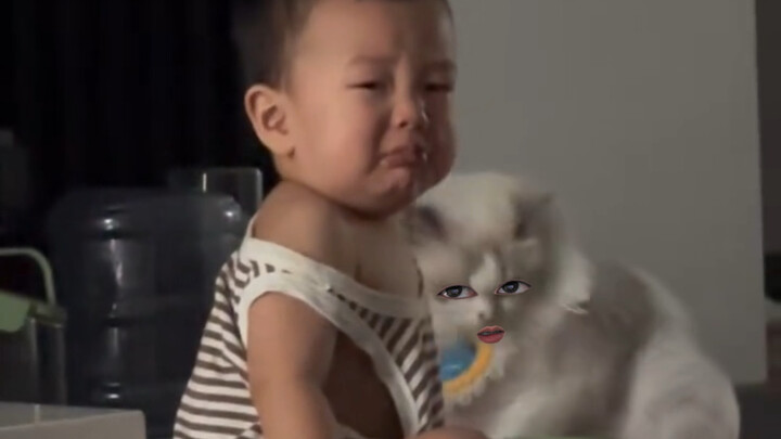 Cat: Something’s definitely going on in here!