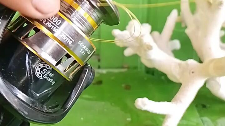 mengikat senar ke reel sangat simpel