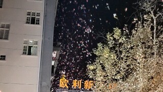 เหตุระเบิดที่ถนนหวู่ฮั่นเจียงฮั่นในวันส่งท้ายปีเก่า
