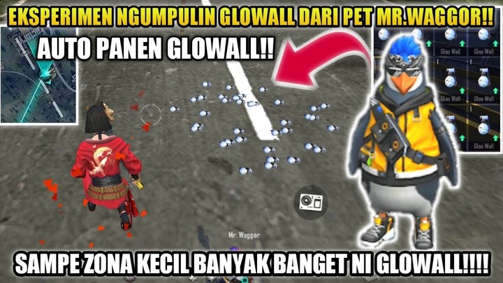 BANYAK BANGET!! EKSPERIMEN NGUMPULIN GLOWALL DARI PET MR.WAGGOR SAMPAI ZONA AKHIR!!