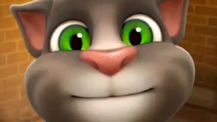 Talking Tom Cat