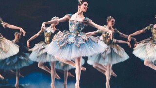 [Ballet] A collection of those super beautiful group dance costumes (POB warning)