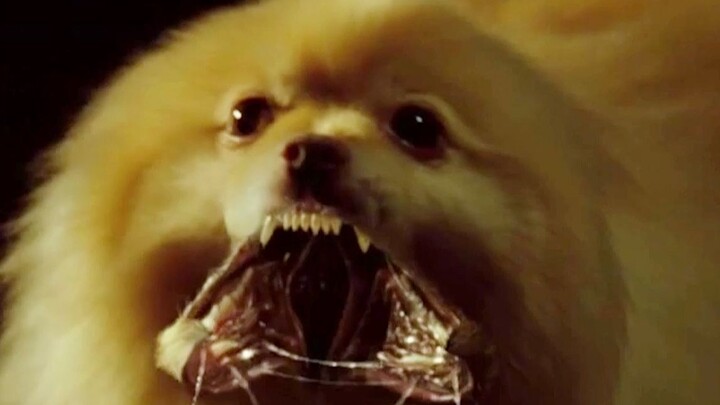 [Blade Season 3] Can a stray dog turn into a zombie too? Marvel’s Blade finale is here, and the Vamp