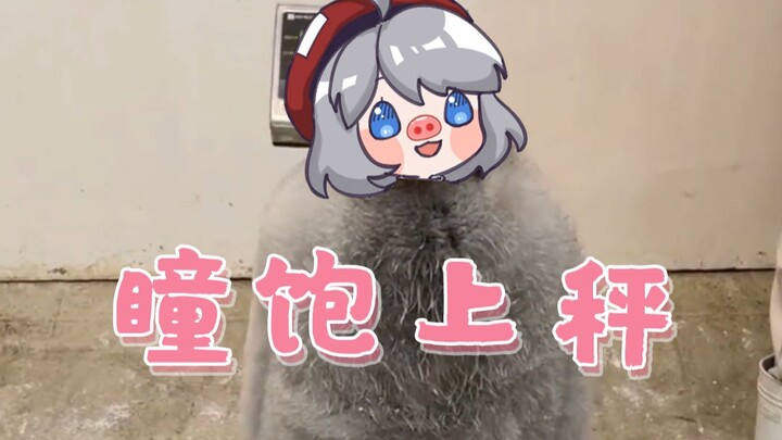 Star pupil on the scale