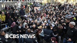 Inside protests over Gaza war that have swept across U.S. college campuses