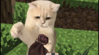 Yoyo và sói tranh giành bưu kiện, bưu kiện bị xé rách...