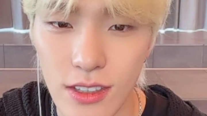 Có lẽ… bạn là một chú rái cá nhỏ chăng? Buổi ký tặng video của Lee Chan Dino từ SEVENTEEN