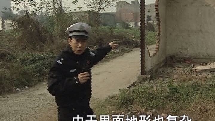 真·阴间祝福：谭sir在“追贼最后失望而归”这件事上，从没让人失望过。