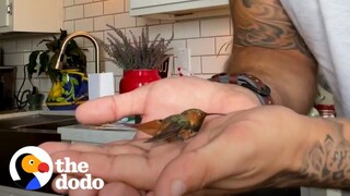 When encountering an injured little animal, even a muscular guy with floral tattoos has to turn into