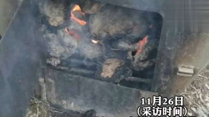 Người chăn nuôi thiết kế bể nước nóng để cho bò uống, còn pha thêm vitamin vào nước nữa.