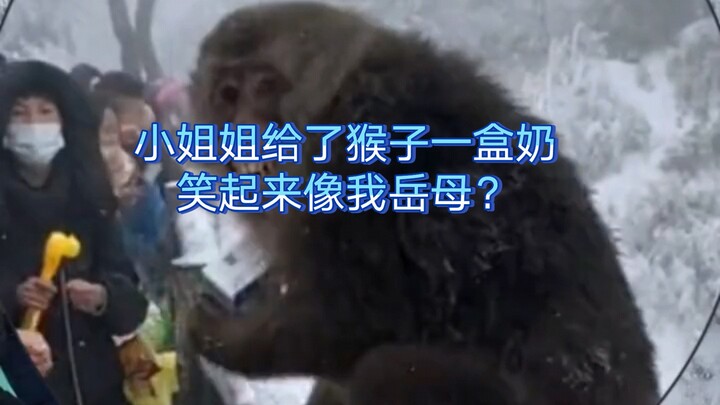Jan 4: In Leshan, Sichuan, a cute girl gave a monkey a box of milk—and the monkey’s way of saying th