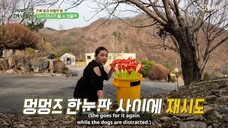 HyeMiLeeYeChaePa Ep.9 (Eng) | HyeRi-Girl'sDay MiYeon-(G)I-DLE LeeJung YeNa Chaewon-LESSERAFIM & Pat