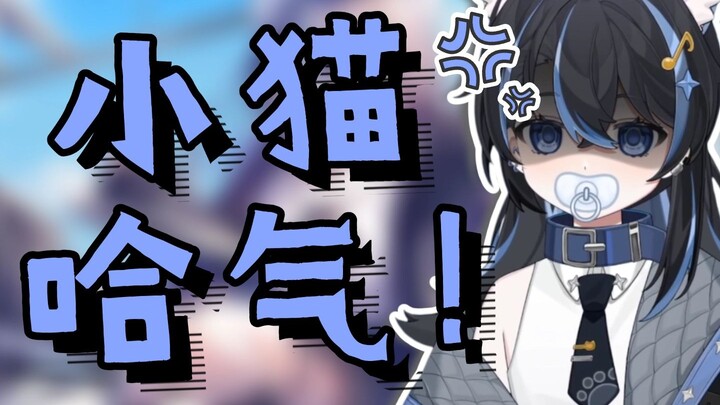 【汀汀汀TTT】被anti急得哈气了的小猫