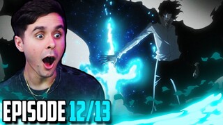 "The Finale.. And BIG Reveal" Bleach Thousand Year Blood War Episode 12 AND 13 REACTION!