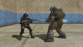 Call Of Duty Soldiers VS. Halo 2 Brutes