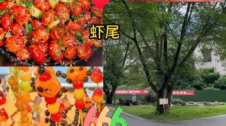 What to feed grandma?