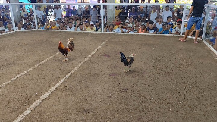 Ito lang talaga na silat na binabae sa mag kakapatid ang laki talaga 6|10 talga