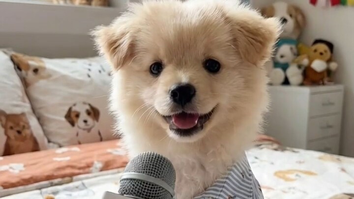 Is “Sanfu Tian” called “Dog Days” in English?