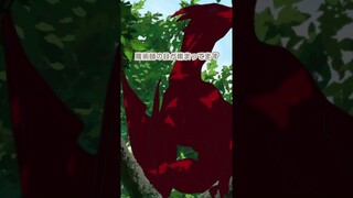 狂乱の魔術師への対抗策【ダンジョン飯】