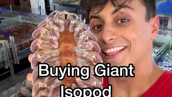 A guy tried a strange seafood in Vietnam: the giant isopod, which was repeatedly jumping between "de