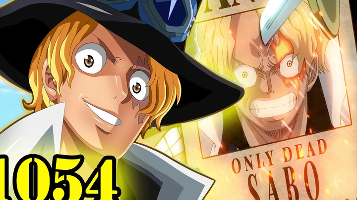 One Piece 1054 - ข้อมูลที่น่าตกใจ มีคนคอนเฟิร์มจะตาย! SABO - VIVI หรือ Nefetari Cobra