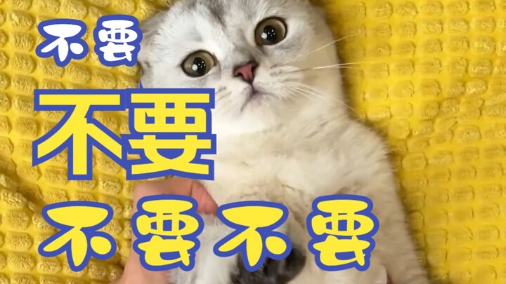 คุณจะทำอะไรฉัน?