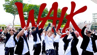 【Z-Axis Dance Company】เวอร์ชั่นเก้าสมาชิกสุดท้าย - โอกาสเดียวที่จะครอบคลุมหลายทีมการแสดงเพลงเดินแบบค