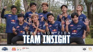 REBELLION ZION TEAM INSIGHT