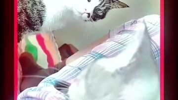 prahara rumah tangga