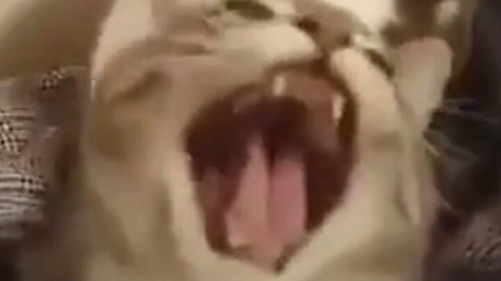 No! You can't do that there.