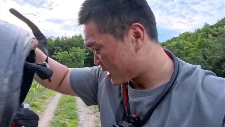 我仿佛找回了，哔站一开始的那种熟悉氛围