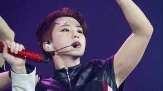 【SVT/Identifikasi Personel Sub Indo】HOT◎Teriakan terakhir hampir menghancurkan atap rumahku◎TOUR 202