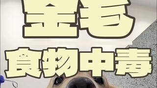 这东西给狗吃，一吃一个不吱声